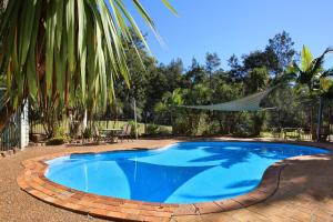 a swimming pool in a yard with a palm tree at Kangaroo Valley Timber Cabin in Kangaroo Valley