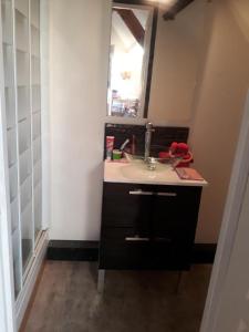 a bathroom with a sink and a mirror at Maison a la campagne in Cléty