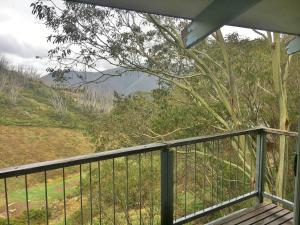 een balkon met uitzicht op een boom op een heuvel bij Katmandu 1 in Falls Creek