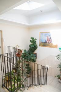 Fotografie z fotogalerie ubytování Apartamenty Optimal v destinaci Płock