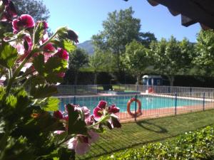 una piscina con flores rosas en el primer plano en Camping El Pinajarro, en Hervás