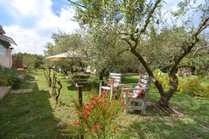 Сад в le cabanon de l'olivette
