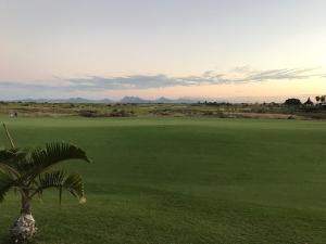a palm tree in the middle of a green field at Villa Alexis - Location de vacances à Trou aux Biches in Trou aux Biches