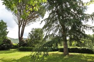 Zahrada ubytování SaS DOMAINE DELMAS