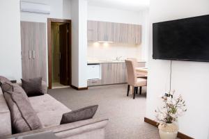 TV a/nebo společenská místnost v ubytování IPN APARTMENTs