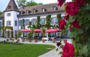 Zahrada ubytování Château de Bossey
