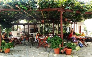 Hostia v ubytovaní Hotel Vrionis