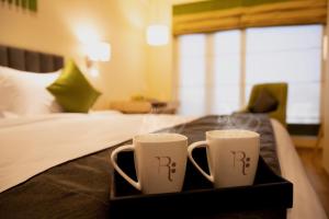 Fotografie z fotogalerie ubytování Regenta Central Harsha Vapi v destinaci Vapi