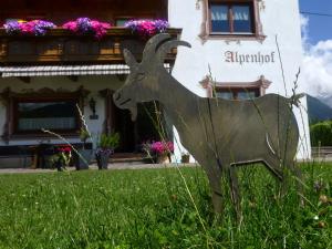 Zahrada ubytování Alpenhof Wohlfühlpension