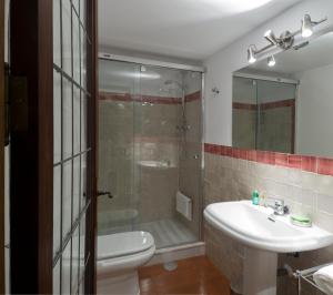 a bathroom with a shower and a toilet and a sink at Entre 2 Mezquitas in Córdoba