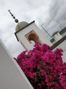 Kép Entre 2 Mezquitas szállásáról Córdobában a galériában
