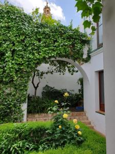 an archway leading to a garden with yellow flowers at Entre 2 Mezquitas in Córdoba