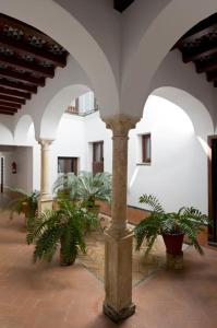 a courtyard with potted plants in a building at Entre 2 Mezquitas in Córdoba
