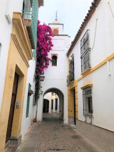 Entre 2 Mezquitas (Córdoba) – oppdaterte priser for 2022