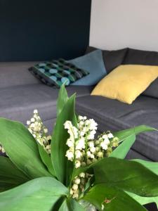 Fotografia z galérie ubytovania Dolne miasto 9 Apartament v destinácii Wałcz