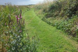 Gallery image of Rockmount House B&B in Clifden