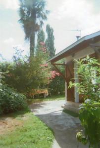 a porch of a house with a palm tree at Gîte Habas in Habas +17 photos