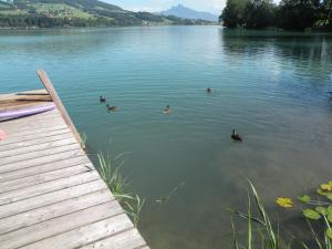 Fotografie z fotogalerie ubytování Hotel Garni Dorferwirt am Irrsee v destinaci Tiefgraben