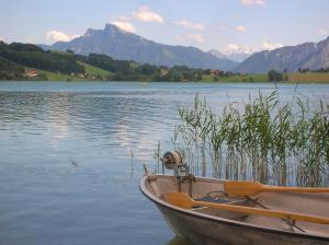 Fotografie z fotogalerie ubytování Hotel Garni Dorferwirt am Irrsee v destinaci Tiefgraben