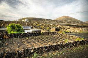 een veld met een huis en een berg op de achtergrond bij Los Frailes eco finca in Tinajo