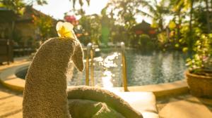 Piscina en o cerca de Hotel Suma