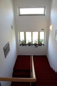 a staircase with a window and a red carpet at Penzion Radost in Poděbrady