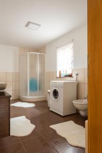 uma casa de banho com uma máquina de lavar roupa e um WC em Wineyard getaway house em Sevnica