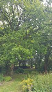 Zahrada ubytování le jardin des chênes