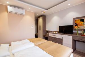 TV a/nebo společenská místnost v ubytování Hotel Viktor