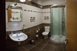 VémysliceHotel Ryšavý的一间带水槽、淋浴和卫生间的浴室 更多18张照片