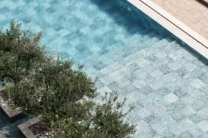 an overhead view of a swimming pool with two trees at The Margi in Athens