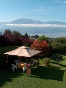 una mesa y sillas bajo una sombrilla en la hierba en Appartement La Coudraie, en Blonay