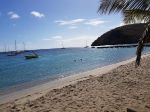 a beach with a palm tree and boats in the water at LA YOLE des Caraïbes in Les Anses-dʼArlets