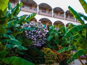 un giardino di fiori di fronte a un edificio di Paradise Lost Hotel-Apartments a Tolo