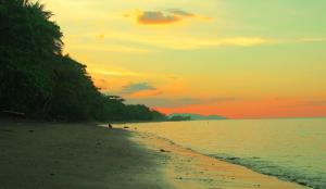Fotografie z fotogalerie ubytování FX72 Beach Resort Maumere v destinaci Maumere