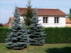 zwei Weihnachtsbäume vor einem Haus in der Unterkunft LA VIGNERAIE in Fuissé