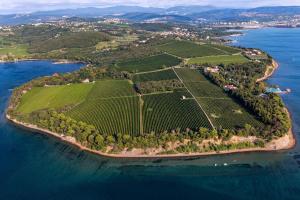 an island in the ocean with a bunch of vineyards at Country house in Ankaran