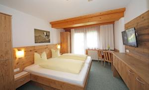 TV a/nebo společenská místnost v ubytování Gasthof Pension Rose