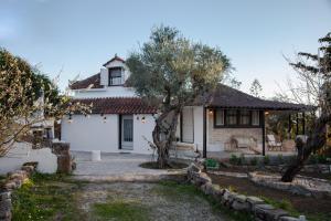 Vonkajšia záhrada v ubytovaní Vartan's Summer House
