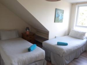 a bedroom with two beds with blue pillows on them at Tisara Guest House in Galway