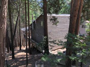 una cabaña en el bosque con árboles en Sequoia National Forest CabinK en Panorama Heights