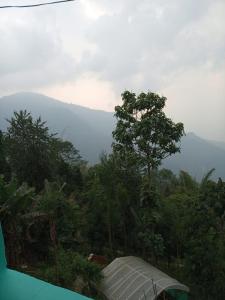 een uitzicht op een berg met een boom bij VAMOOSE CHAMLING in Pedong
