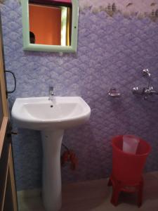 een badkamer met een witte wastafel en een spiegel bij VAMOOSE CHAMLING in Pedong