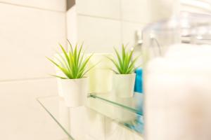 Mynd úr myndasafni af Apartman SREBRNA PAHULJA í Divčibare