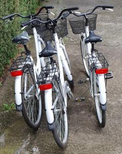 Jízda na kole v ubytování B&B Al Parco nebo okolí