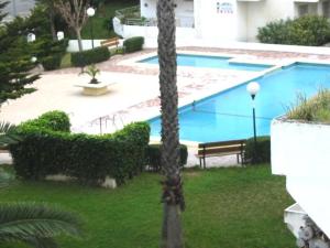 palma w trawie obok basenu w obiekcie SAFOR GANDIA - Alquiler solo Familias w mieście Playa de Gandia