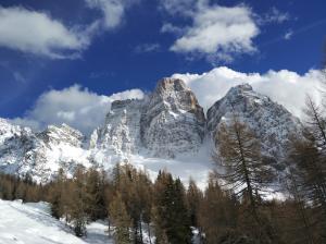 a mountain covered in snow with trees in the foreground at Miniappartamento Nelle Dolomiti in Selva di Cadore