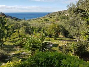 a garden with a view of the ocean at I Valloni Apartments in Imperia