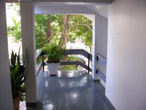 un corridoio con una pentola di piante sul pavimento di Ocean View Montego Bay Apartment a Montego Bay