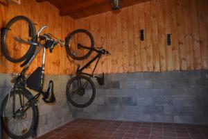 Jazda na bicykli v okolí ubytovania Apartmány Nad řekou
